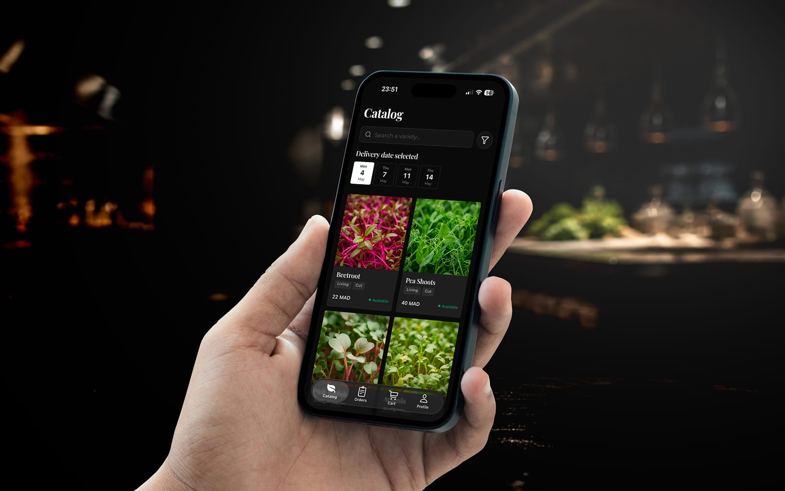 Preview, Chef's Origin